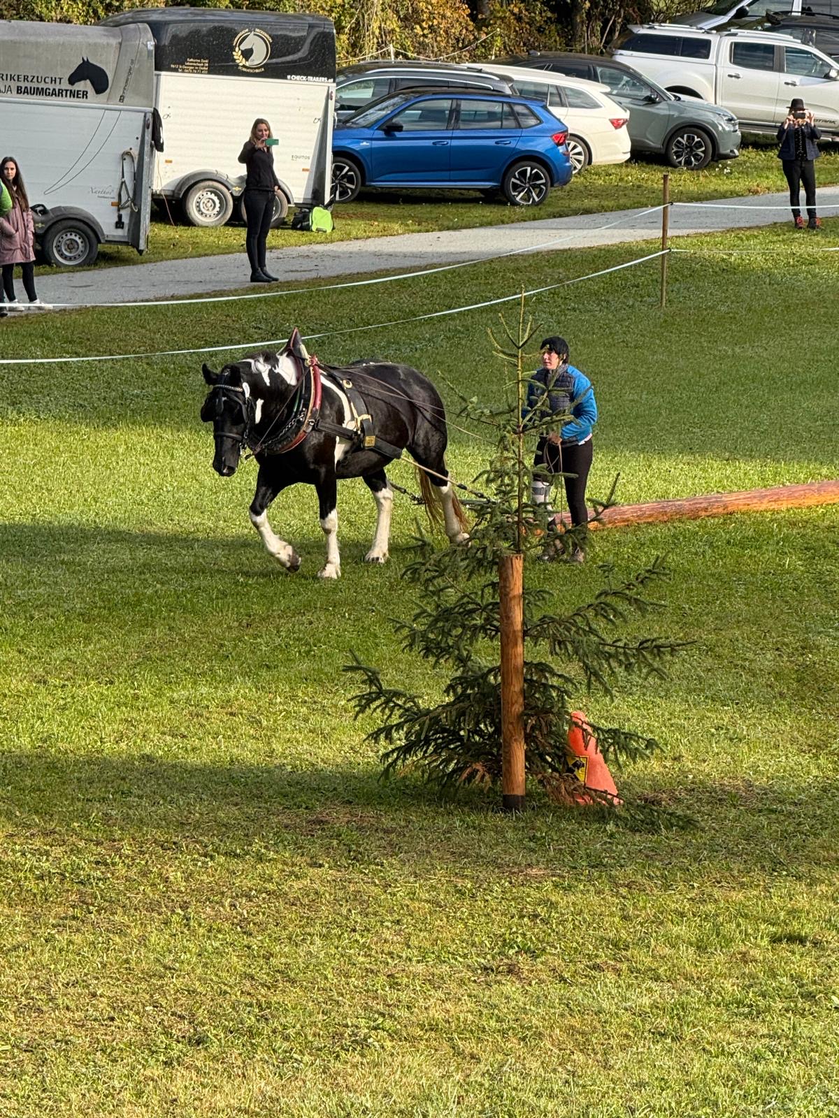 Leistungsprüfung 2026