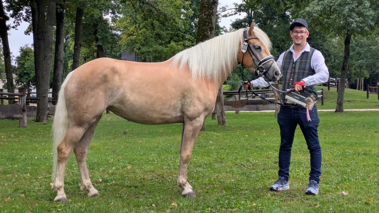 Haflinger Bundeschau u. Championat 2025