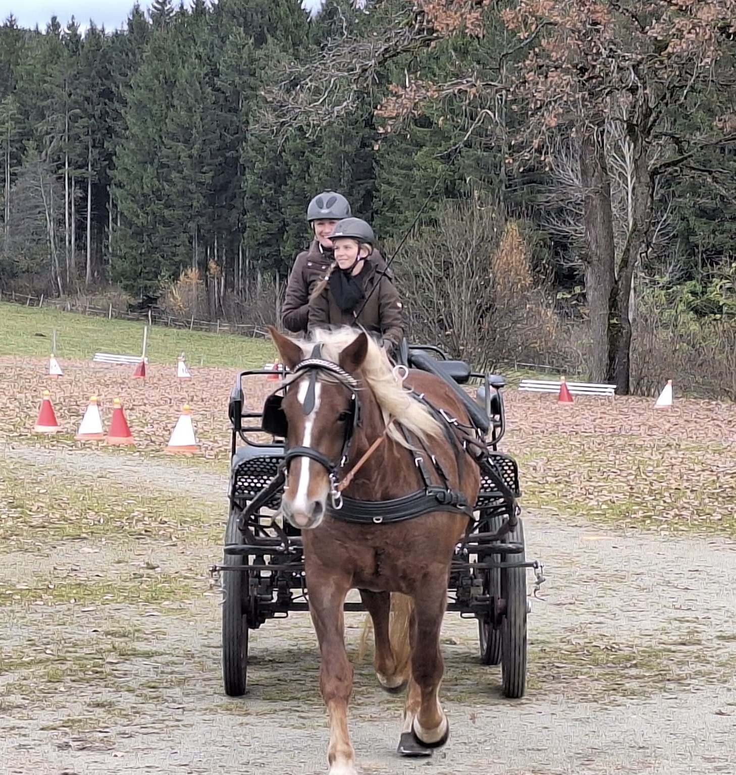 Nicole Bierbaumer - Kassier