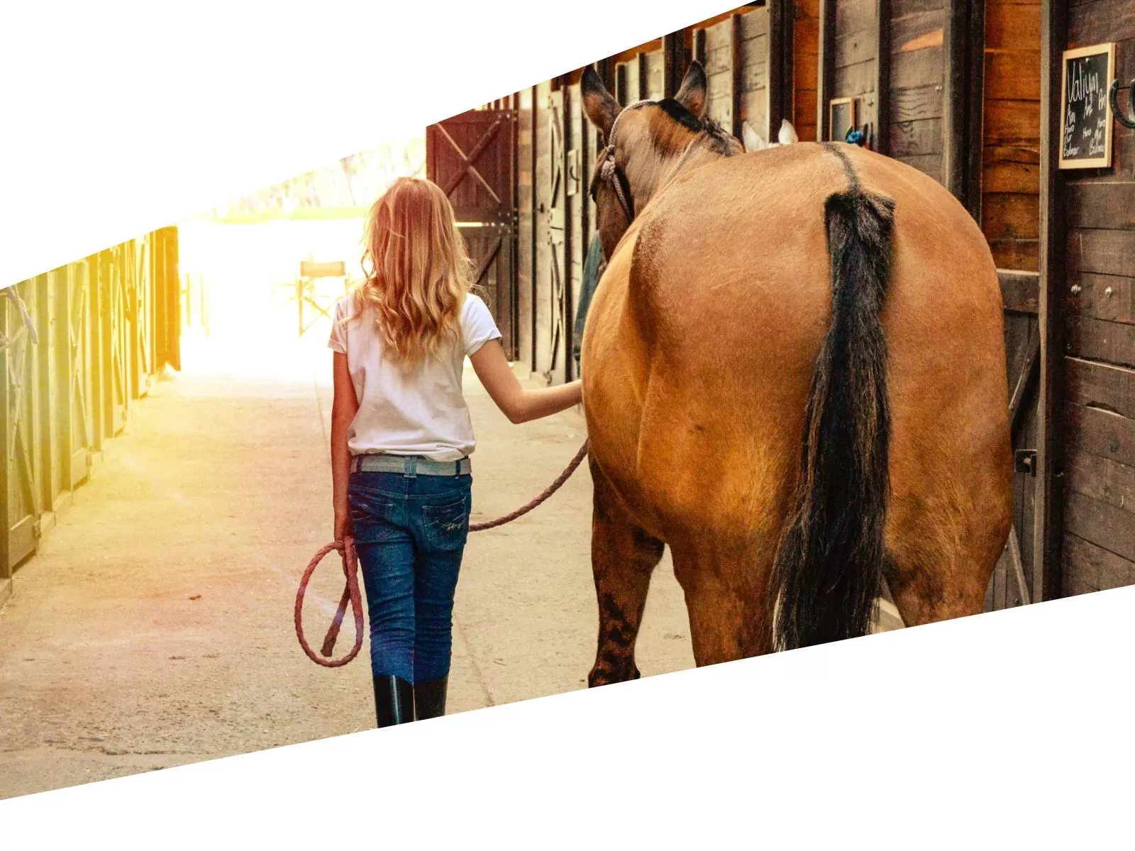 pferd-k30-bg3